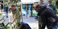 В Ялте стартовало осеннее цветочное оформление - Городской совет