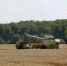 В Калужской области завершается уборочная кампания - Калужский перекрёсток