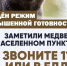 заметили медведя? звоните 112. - Каратузский район