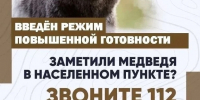 заметили медведя? звоните 112. - Каратузский район