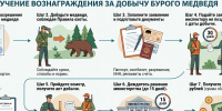 Вознаграждение за добычу медведя. - Емельяновский район