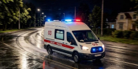 Протаранила кабана и фуру: под Волгоградом на трассе женщина не справилась с кроссовером - Волжская правда