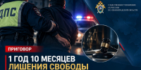 В Волосовском районе местный житель признан виновным в применении насилия в отношении сотрудника полиции - Следственный комитет