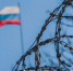 В Совфеде прокомментировали провокации Эстонии у границ - Кингисепп-сегодня.рф