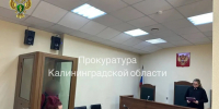 16-летний калининградец с приятелями избил прохожего и отобрал у него мобильник - Комсомольская правда