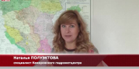 Видео - ТВН