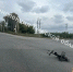 В Тульской области электровелосипедист пострадал в ДТП с Daewoo - ИА Тульская служба новостей