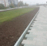 брусчатка на набережной - Петрозаводск говорит