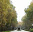 Картинка - Regions.Ru