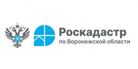 О деятельности филиала публично-правовой компании "Роскадастр". - Рамонский район