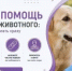Что делать при укусе или повреждении, нанесённом животным. - Аскинский район