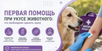 Что делать при укусе или повреждении, нанесённом животным. - Аскинский район