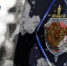 ФСБ задержали белгородца, работавшего на украинские спецслужбы - OrelTimes.Ru