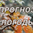Прогноз погоды. - Бурзянский район