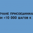 Жители Липецка приняли участие в акции «10 000 шагов к жизни» - Народное слово