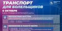 Для болельщиков матча Россия-Нигерия организуют бесплатные шаттлы и скорректируют интервалы движения поездов метро - Правительство Нижегородской области