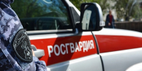 Курские росгвардейцы совершили 250 выездов по сигналу «тревога» - Городские Известия