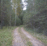 background - Вологда-поиск