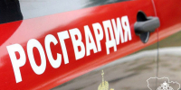 Росгвардейцы задержали в Камышине похитительницу телевизора - Инфокам