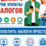 Жителям Башкортостана напоминают о сроке уплаты налогов - Министерство транспорта и дорожного хозяйства