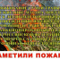 Оперативная обстановка по пожарам в Юргамышском МО: итоги сентября и важные рекомендации. - Юргамышский муниципальный округ