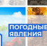 Неблагоприятные погодные условия. - Демянский район