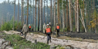 Кировские леса пережили пожароопасный сезон с рекордно низкими потерями - Prochepetsk.ru