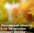 В Ростовской области с 1 по 10 октября проходит Декада пожилых людей. - Министерство труда и соц.развития