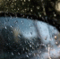 На трассах Югры фиксируют аварии и реверсивное движение - 2Goroda.Ru
