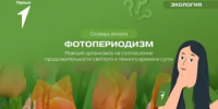 Знакомимся с новым термином!  - Министерство природных ресурсов
