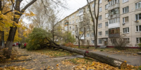 Халатность УК в российском городе едва не погубила трех детей - MosRegToday.Ru