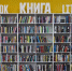 Классика — это не про школу. Это про жизнь, которую мы в ней узнаём | Источник: Александр Ощепков / NGS.RU - 76.Ru