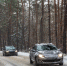 line-cars-snowy-forest-curve-winter-trip.jpg - Gorod3466.Ru