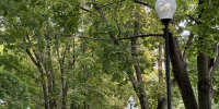 В Самарскую область придет потепление до +17 °C - Площадь Свободы