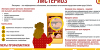 Профилактика листериоза. - Бабушкинский муниципальный округ