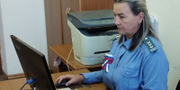 Три лошади отправились из Вологодской области в Чеченскую Республику - Вологда.РФ