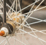 bicycle-wheel - ТРК Щелково