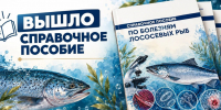 Встречайте пособие по болезням лососёвых рыб! - Управление ветеринарии