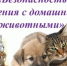 Домашние животные приносят в дом уют и положительные эмоции, но одновременно требуют соблюдения определенных правил для обеспечения здоровья. - Администрация г. Клинцы