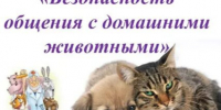 Домашние животные приносят в дом уют и положительные эмоции, но одновременно требуют соблюдения определенных правил для обеспечения здоровья. - Администрация г. Клинцы
