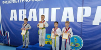 Юные тхэквондисты Калмыкии стали призерами первенства в Волгоградской области - Интернет-газета Степные вести