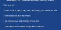 О результатах контрольной (надзорной) деятельности ГЖИ Воронежской области за период с 28 сентября по 02 октября 2026 года - Государственная жилищная инспекция