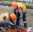 Почти 190 км «бархатного» пути уложено на Горьковской магистрали в 2026 году - ИА Нижний сейчас