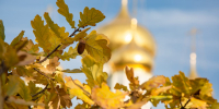Ночью в Туле ожидается +9 градусов тепла - ТК Первый Тульский