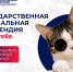 Государственная социальная стипендия - Технологический университет