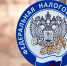 В ФНС опровергли сообщения о массовых ошибках с налогами на электромобили - ИА Татар-информ