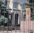 Фото Ольги Богатеевой - Sk-News.Ru