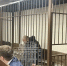 Конфликт из-за дорогой машины стал причиной расправы над женщиной и её дочерью - TV-Gubernia.Ru
