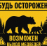 Будь осторожен! Возможен выход медведей! - Ilim24.Ru