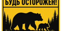 Будь осторожен! Возможен выход медведей! - Ilim24.Ru